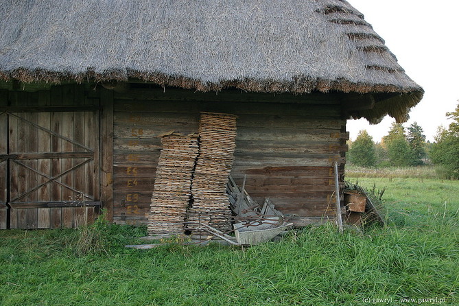 Bialowieza National Park