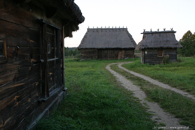 Bialowieza National Park