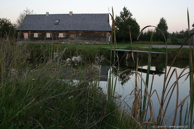 Bialowieza National Park