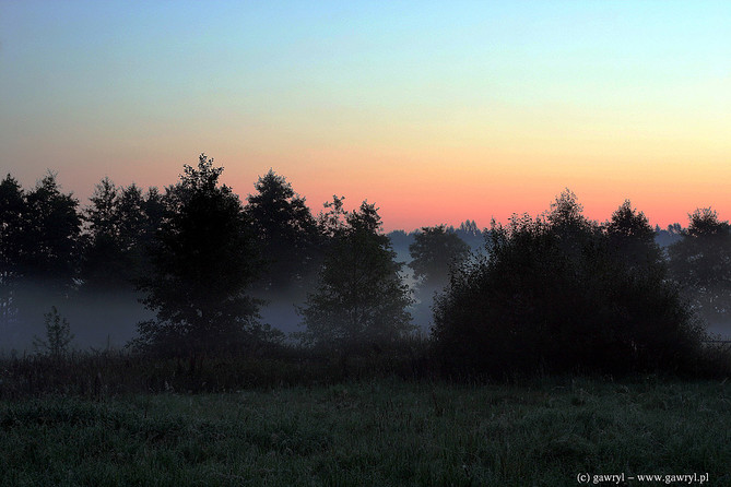 Bialowieza National Park