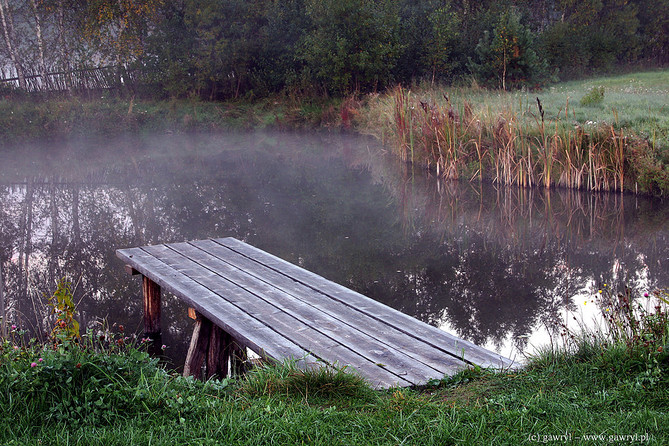 Bialowieza National Park
