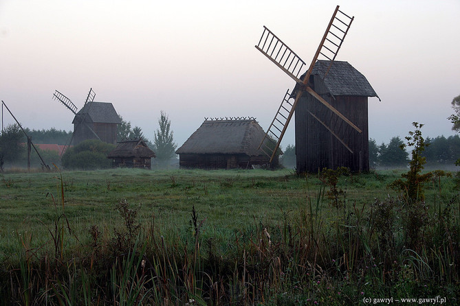 Bialowieza National Park