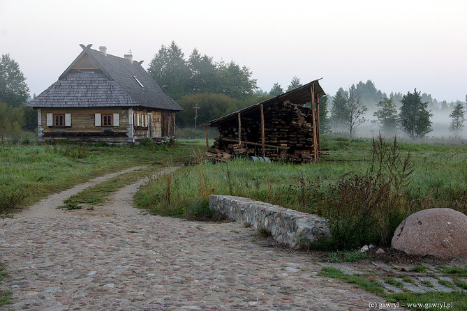 Bialowieza National Park