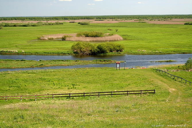 Biebrza River