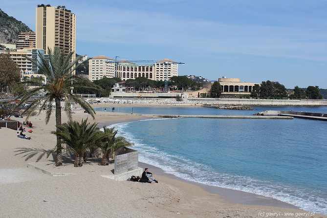 Monte Carlo