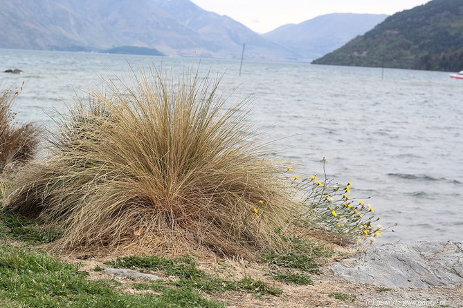 New Zealand - Queenstown, trip arround Lake Wakatipu