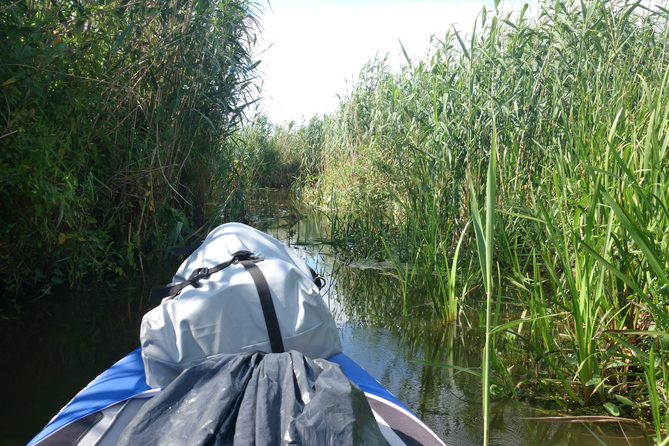 Narew River