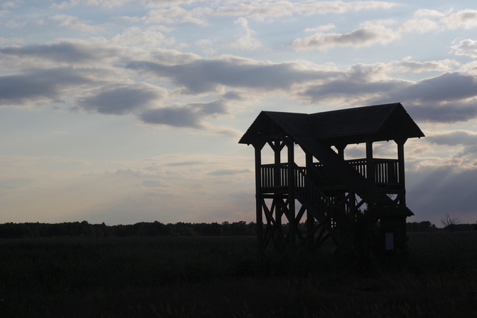 Narew River