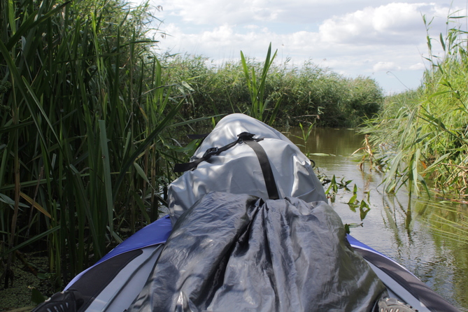 Narew River