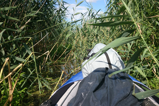 Narew River (aka ''Polish Amazon'')