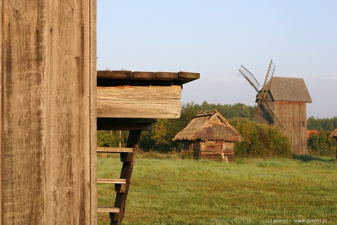 Bialowieza National Park