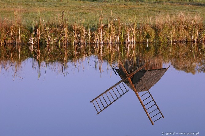 Bialowieza National Park
