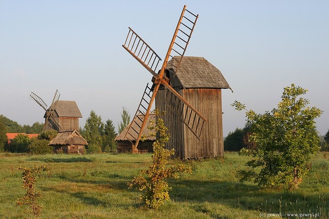 Bialowieza National Park